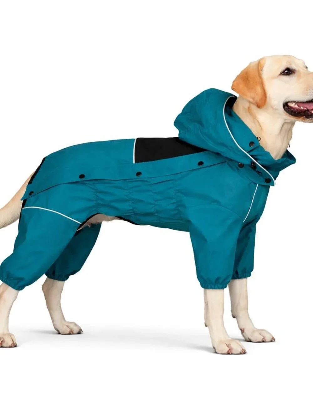 Waterproof Dog Raincoat with Removable Hood N1537